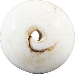 RARE VIKING SEA SHELL BEAD, 850-1050 AD - Fagan Arms